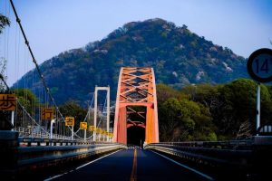 橋と山