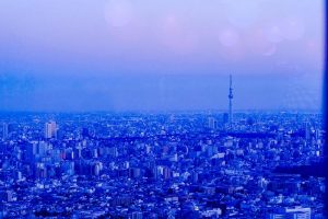 東京のビルとスカイツリー