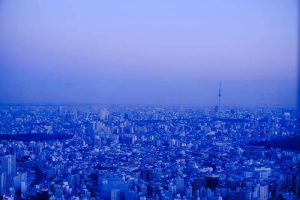 東京のビルとスカイツリー