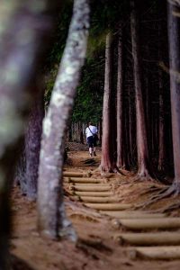 森のなかに入っていく男性