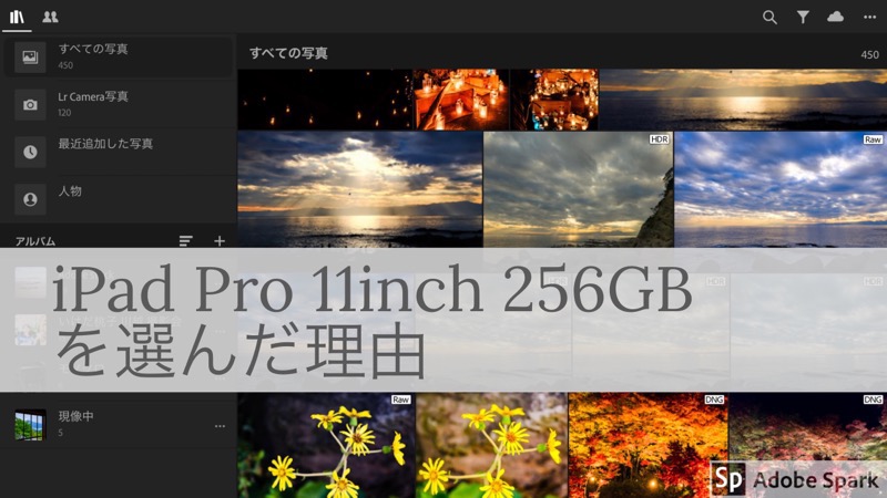 [iPad Pro]11inch 256GB Wi-Fi スペースグレイを選んだ理由
