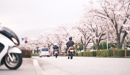 ［写真］水無川の桜とある場所の桜の写真と動画(X-Pro3 )