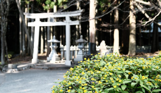 10月の山宮浅間神社と村山浅間神社のツーリングの写真と動画（富士山の構成資産）［X-Pro3］END