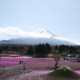 「富士芝桜まつり」と「富士五湖巡り」をフォトツーリングしてきた時の動画と写真。［X-Pro3］