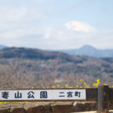［写真］神奈川県二宮町「吾妻山公園の菜の花」の写真-2023年-